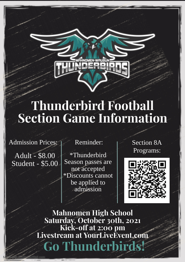 SectionFBGameInfo